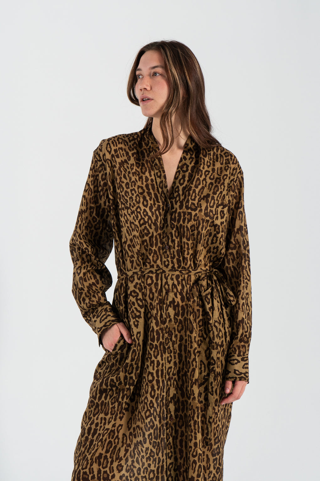 Collarless Shirtdress
