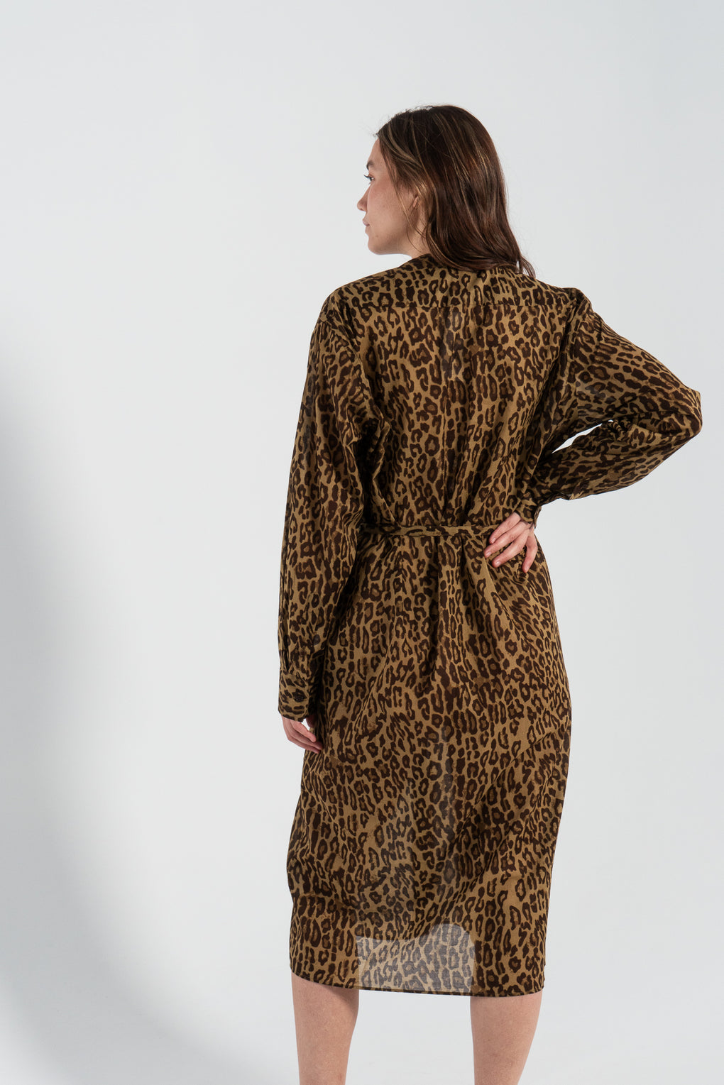 Collarless Shirtdress