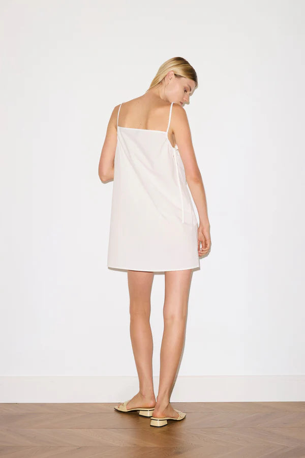Drawcurve Dress