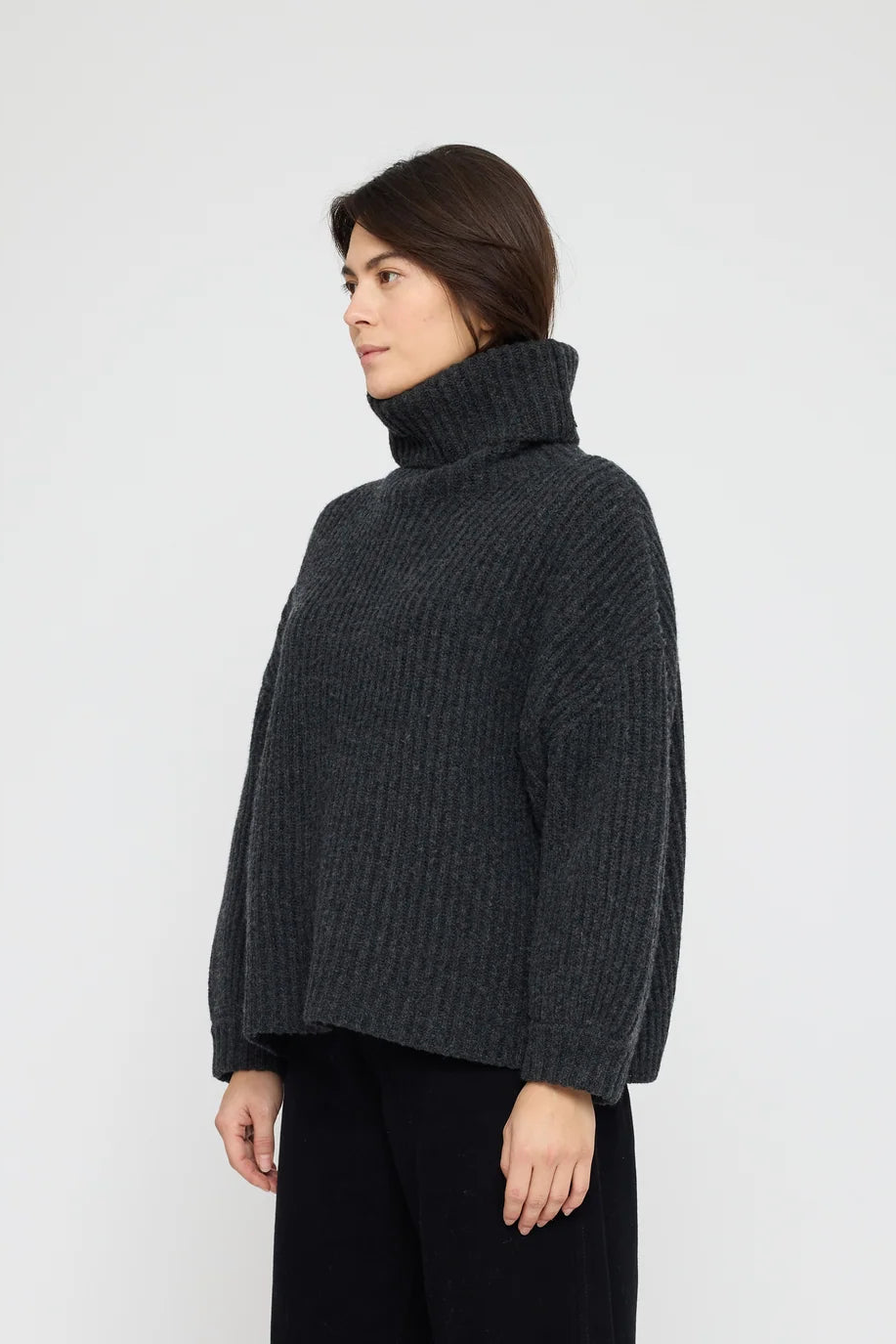 Chunky Ribbed Turtleneck Sweater