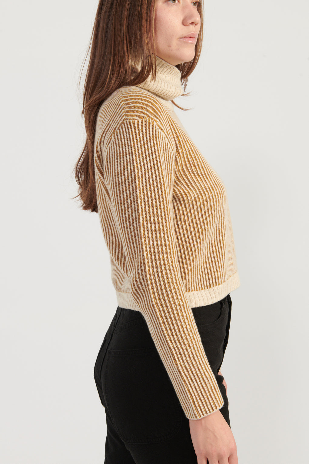 Striped Turtleneck Sweater