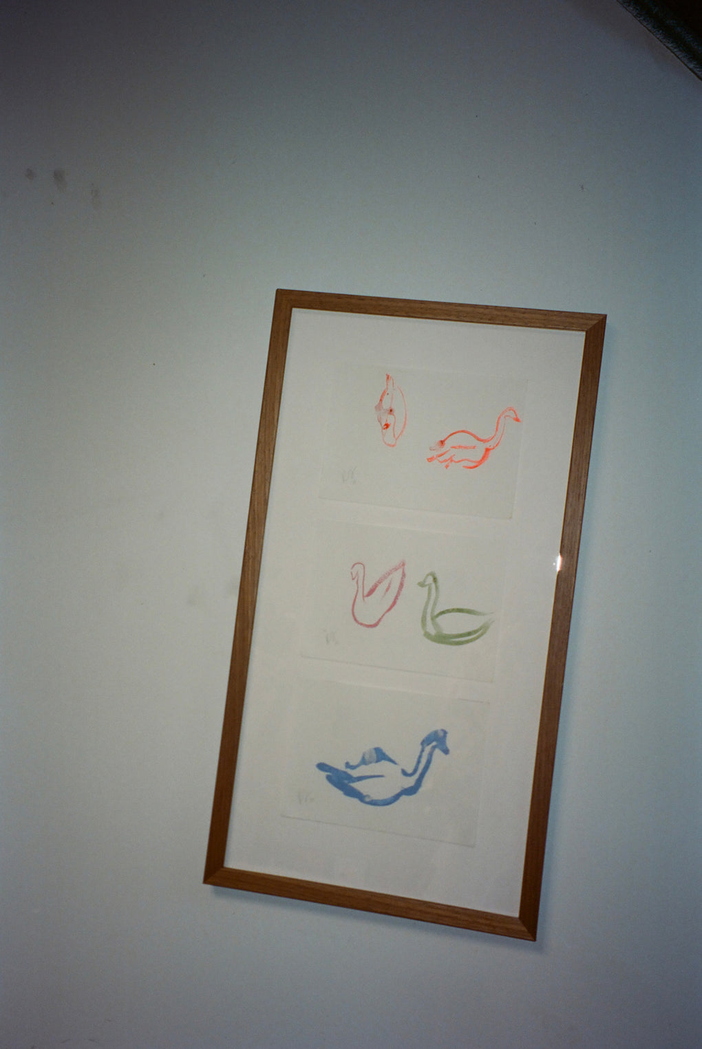 Five Swans