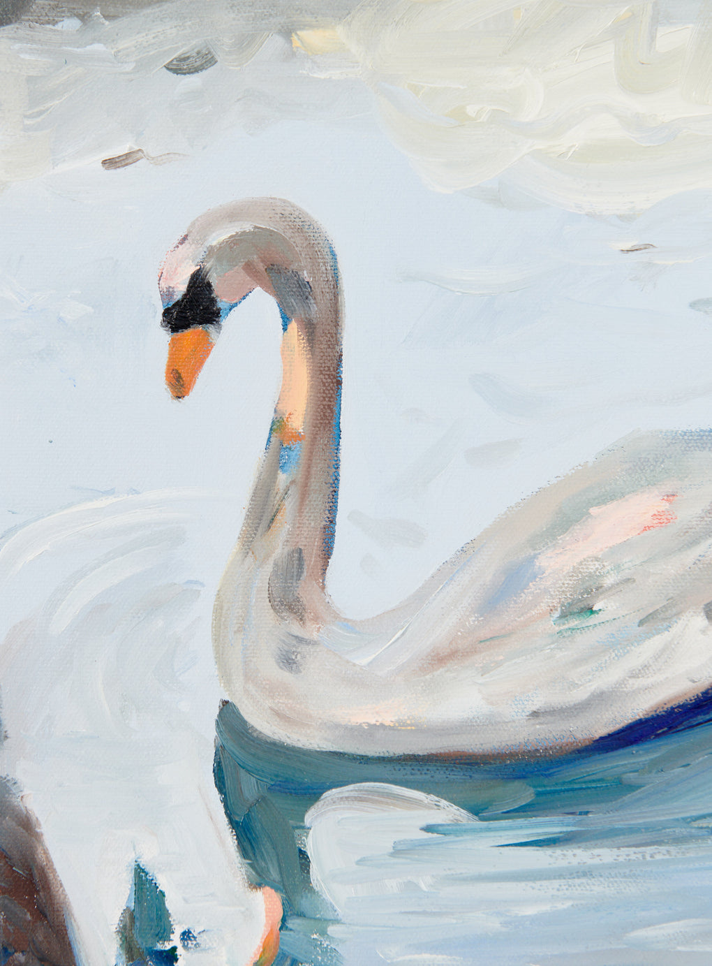 Lonely Swan