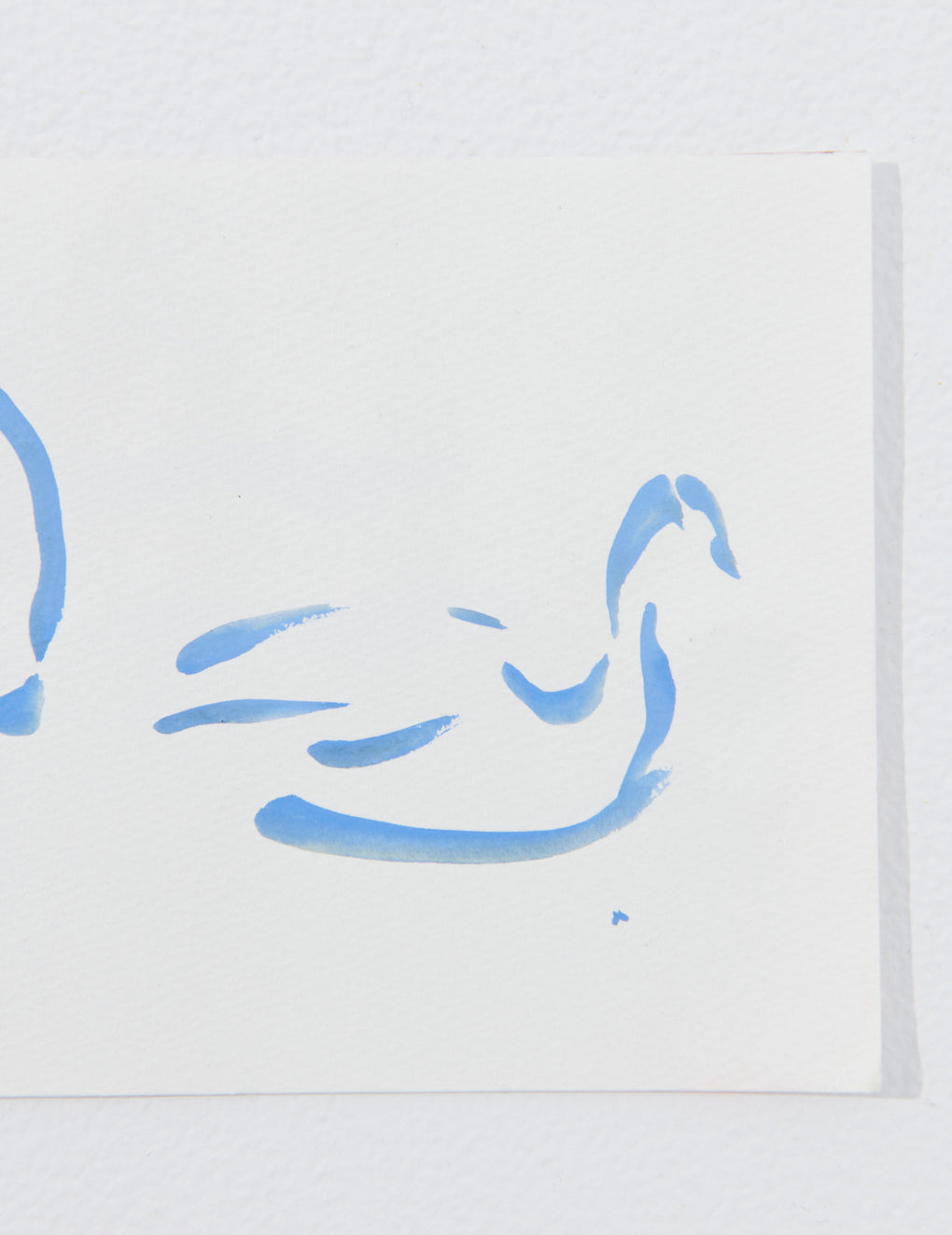 Swan I