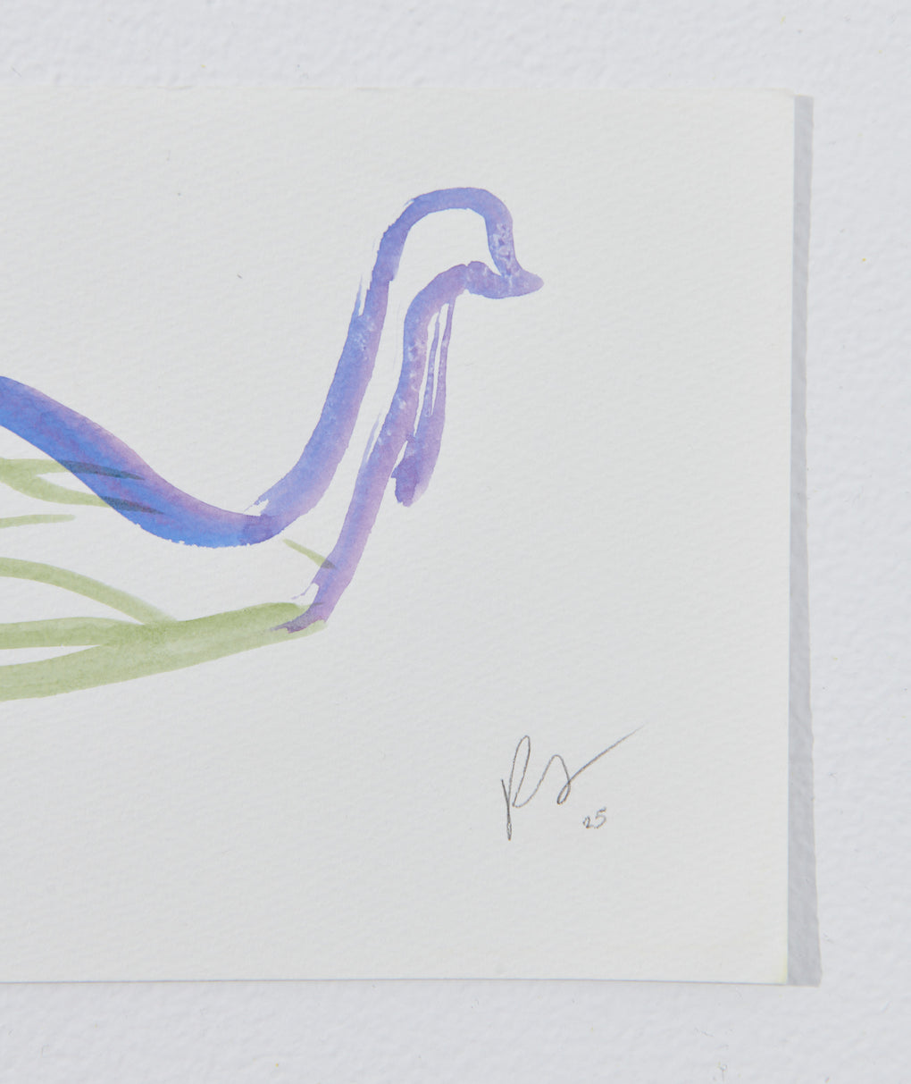 Swan II