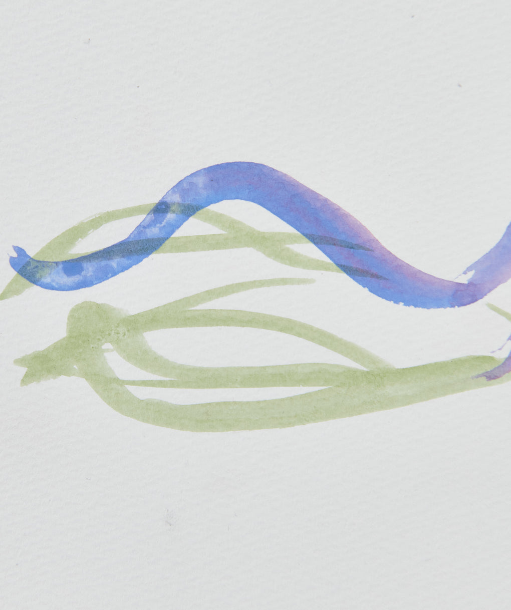Swan II