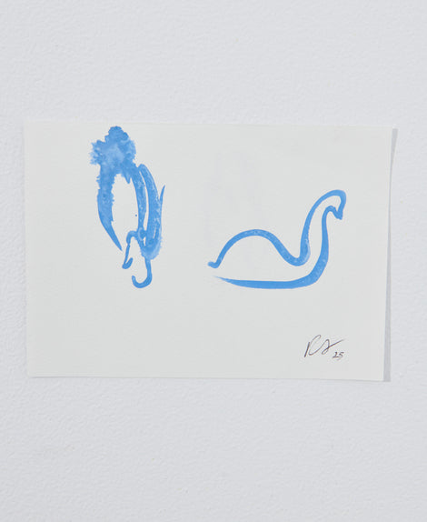 Swan III