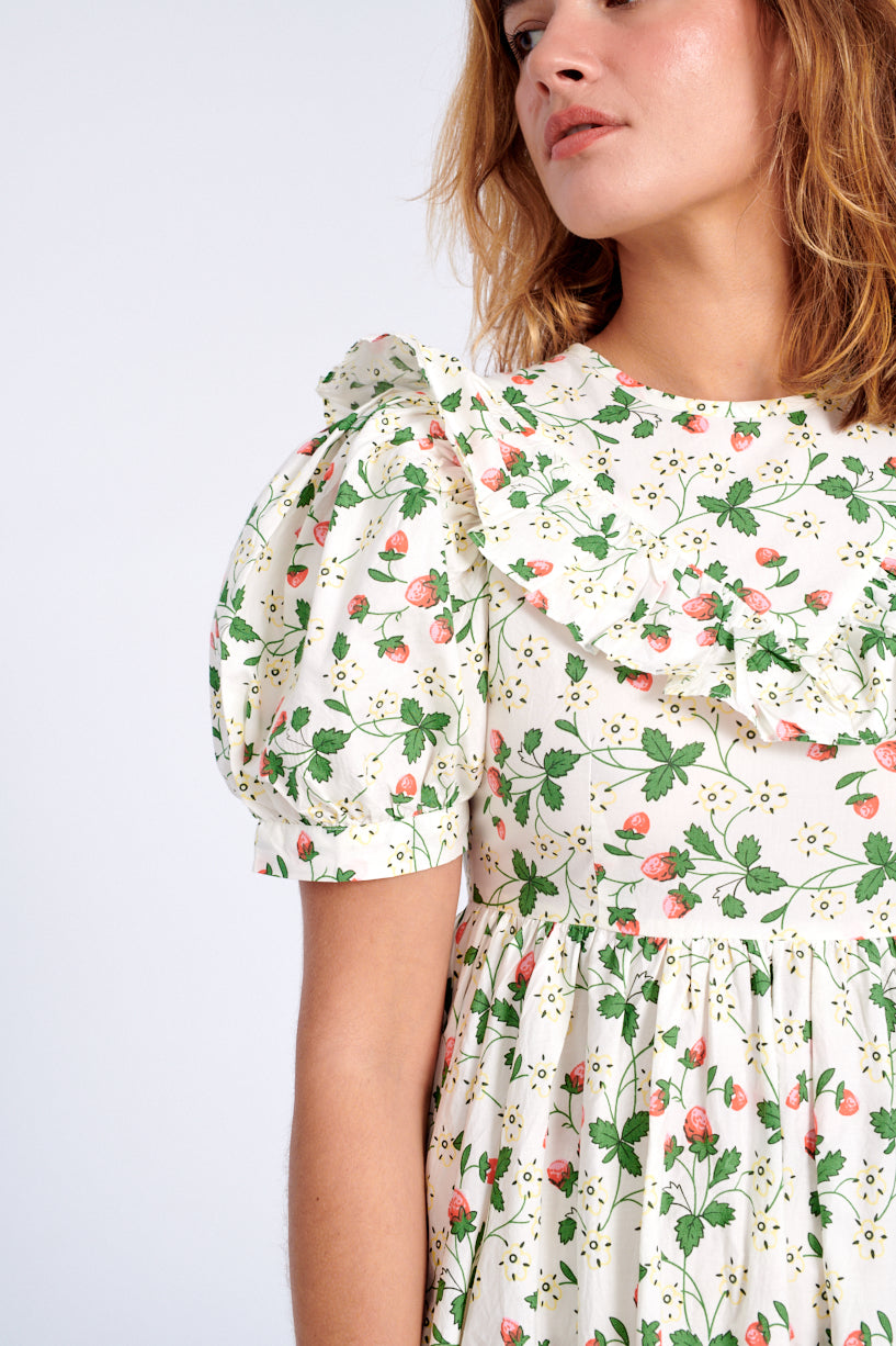 Batsheva x Laura Ashley May Dress strawberry field-Batsheva strawberry dress-Laura Ashley strawberry dress-strawberry May dress-Idun-St. Paul