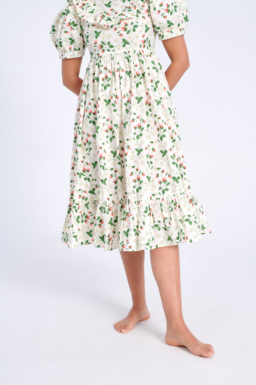 Batsheva x Laura Ashley May Dress strawberry field-Batsheva strawberry dress-Laura Ashley strawberry dress-strawberry May dress-Idun-St. Paul