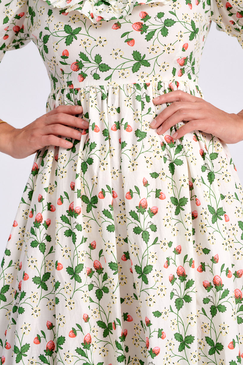 Batsheva x Laura Ashley May Dress strawberry field-Batsheva strawberry dress-Laura Ashley strawberry dress-strawberry May dress-Idun-St. Paul